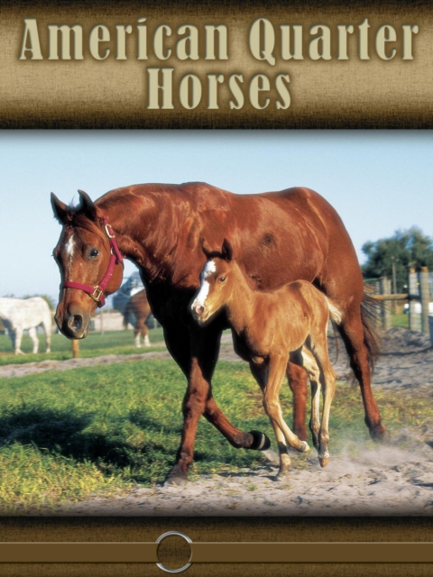 American Quarter Horse, PDF eBook