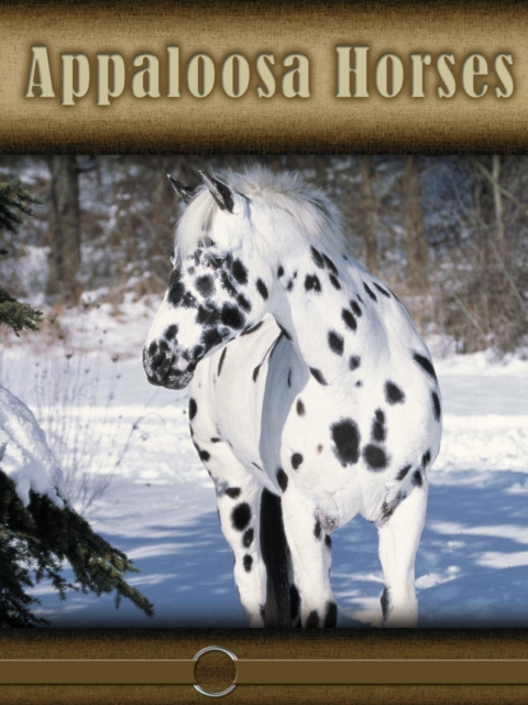 Appaloosa Horses, PDF eBook