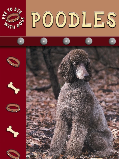 Poodles, PDF eBook