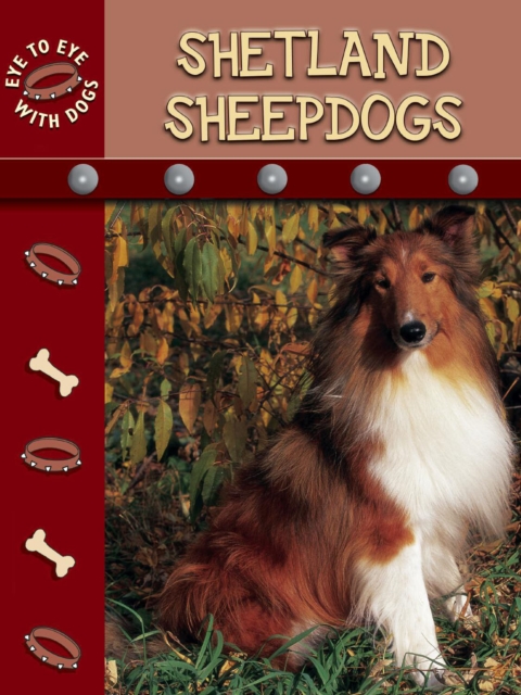 Shetland Sheepdogs, PDF eBook