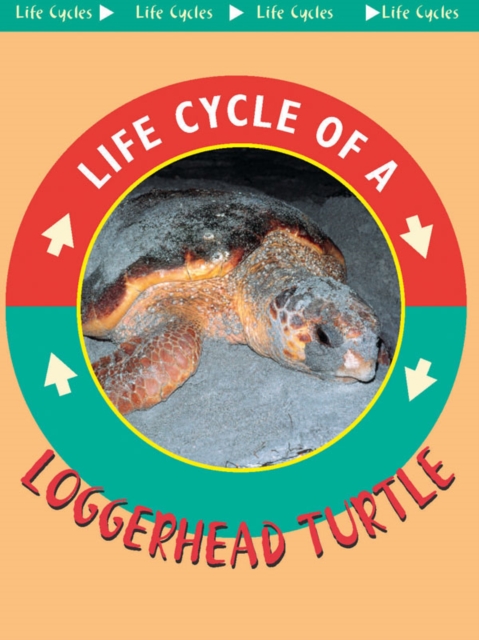 Loggerhead Turtle, PDF eBook