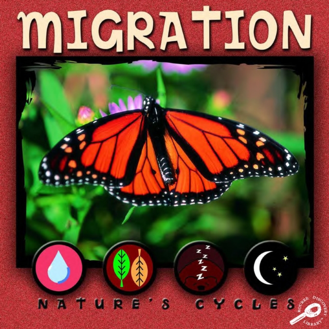 Migration, PDF eBook