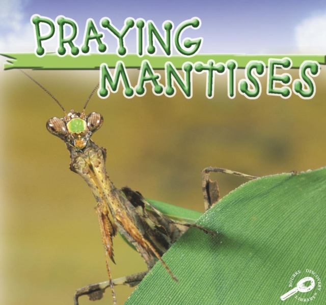 Praying Mantises, PDF eBook