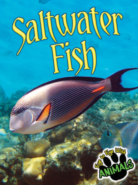 Saltwater Fish, PDF eBook