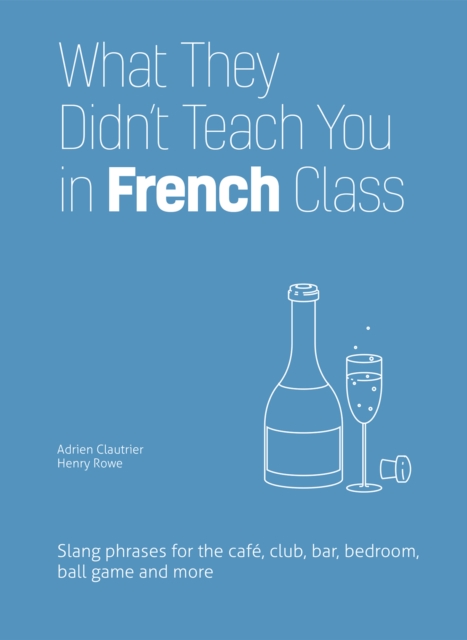 What They Didn't Teach You in French Class : Slang Phrases for the Cafe, Club, Bar, Bedroom, Ball Game and More (Dirty Everyday Slang), EPUB eBook