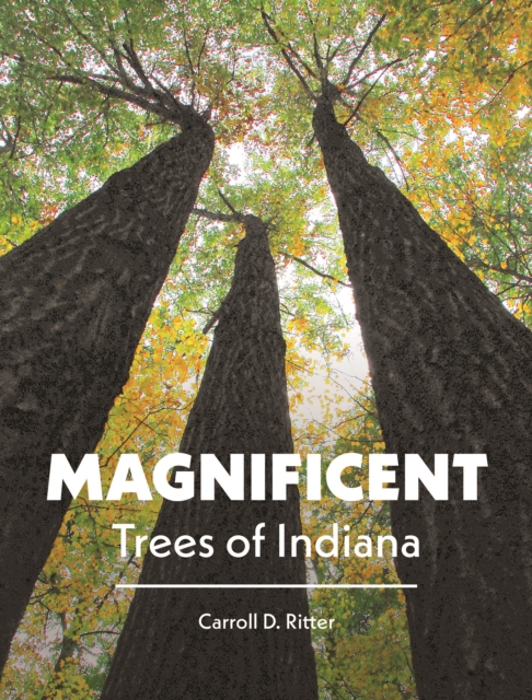 Magnificent Trees of Indiana, PDF eBook