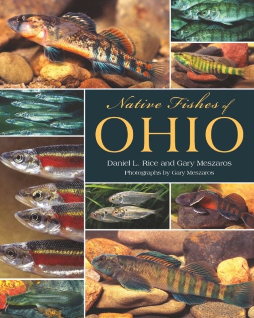 Native Fishes of Ohio, EPUB eBook
