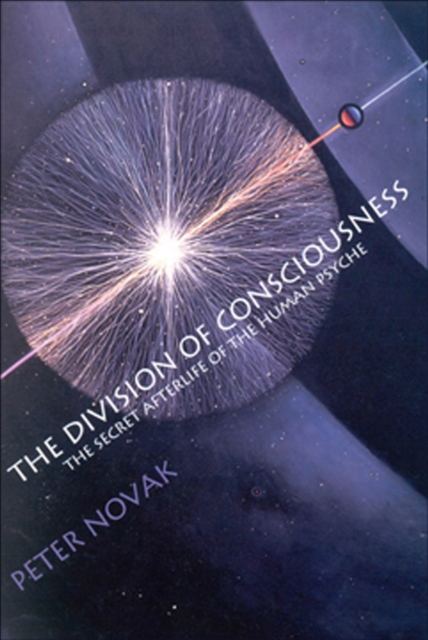 The Division of Consciousness : The Secret Afterlife of the Human Psyche, EPUB eBook