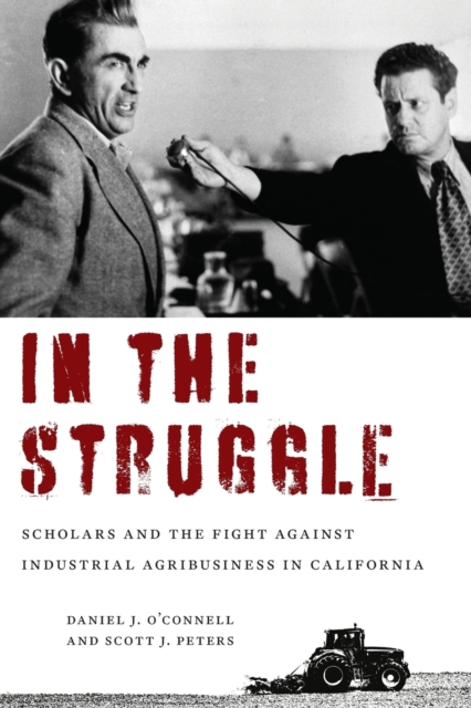 In the Struggle : Scholars and the Fight against Industrial Agribusiness in California, Paperback / softback Book