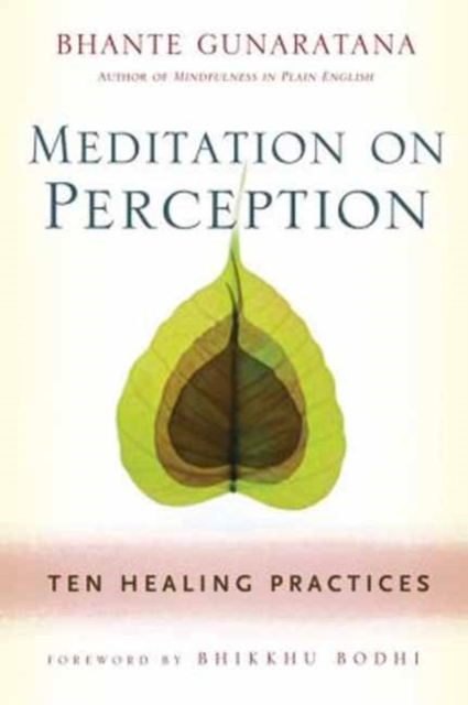 Meditation on Perception : Ten Healing Practices to Cultivate Mindfulness, Paperback / softback Book