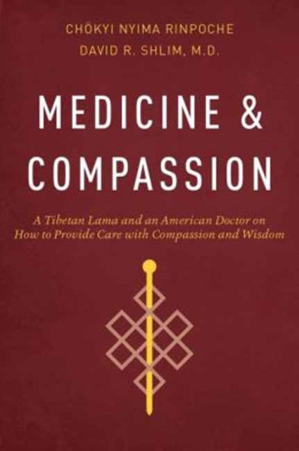 Medicine and Compassion : A Tibetan Lama and an American Doctor on How to Provide Care with Compassion and Wisdom, Paperback / softback Book