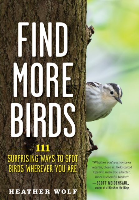 Find More Birds : 111 Surprising Ways to Spot Birds Wherever You Are, Paperback / softback Book
