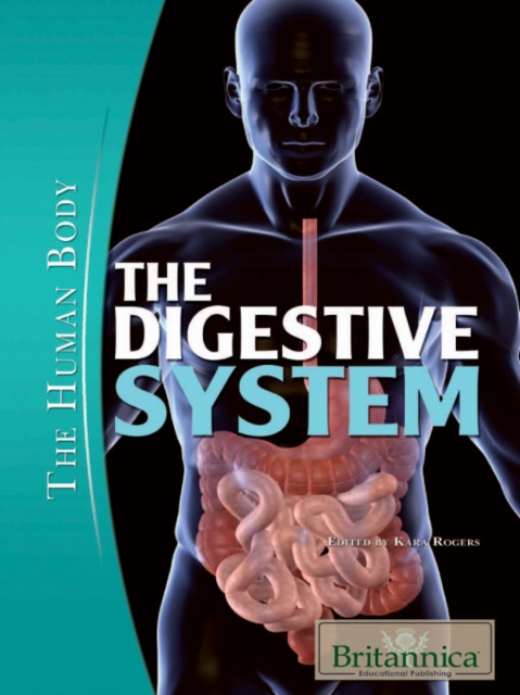 The Digestive System, PDF eBook