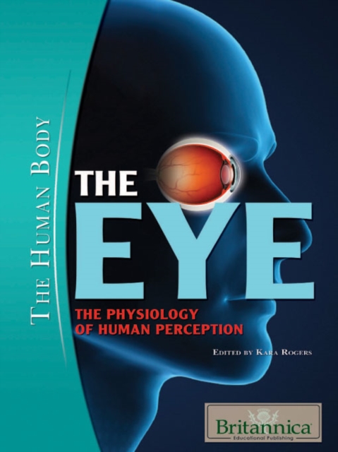 The Eye : The Physiology of Human Perception, PDF eBook