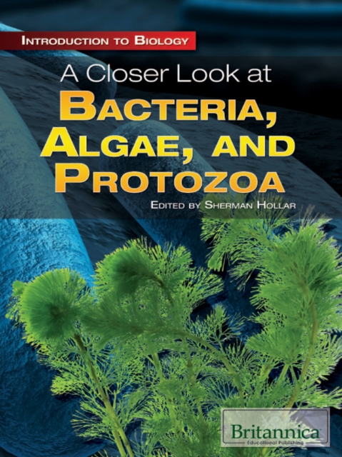 A Closer Look at Bacteria, Algae, and Protozoa, PDF eBook