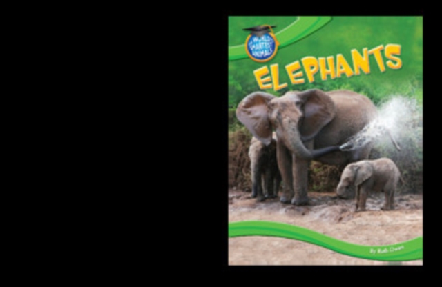 Elephants, PDF eBook