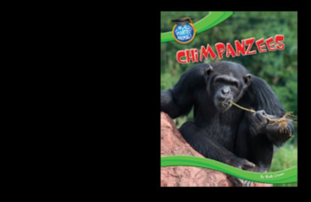 Chimpanzees, PDF eBook