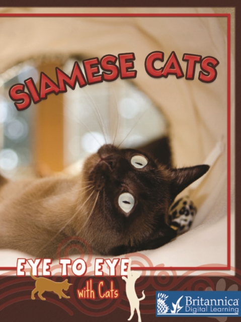 Siamese Cats, PDF eBook