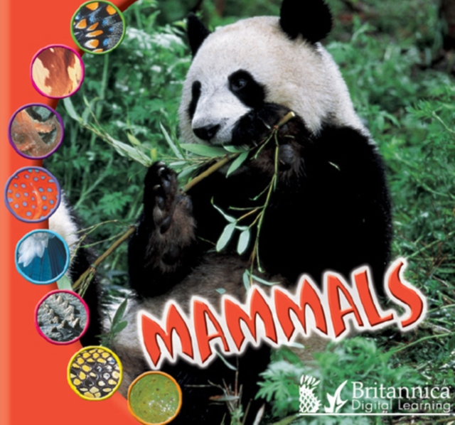 Mammals, PDF eBook