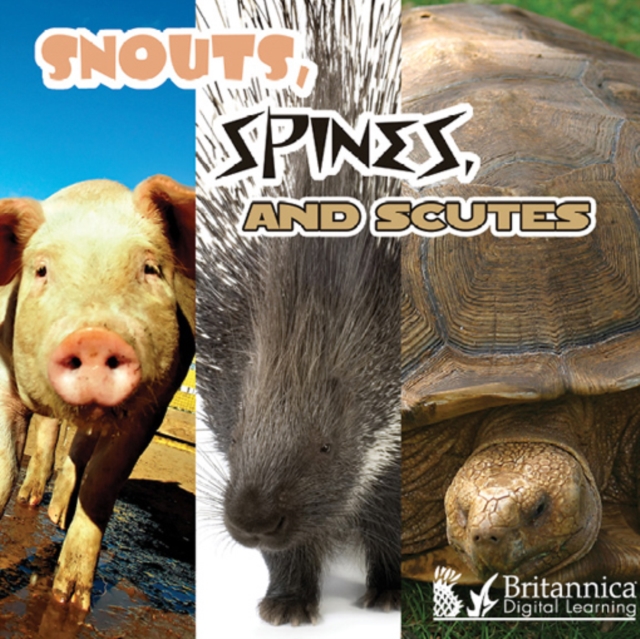 Snouts, Spines, and Scutes, PDF eBook