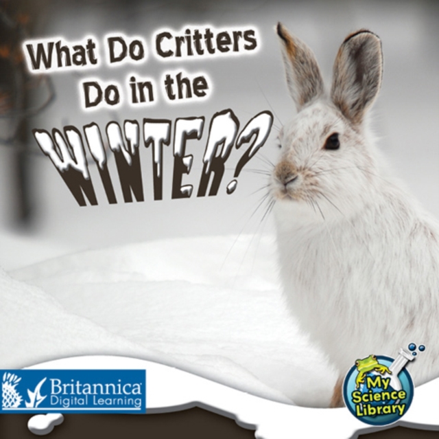 What Do Critters Do in the Winter?, PDF eBook