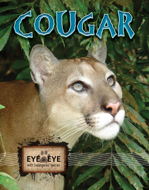 Cougars, PDF eBook