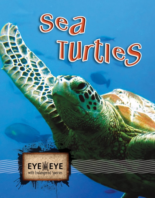 Sea Turtles, PDF eBook