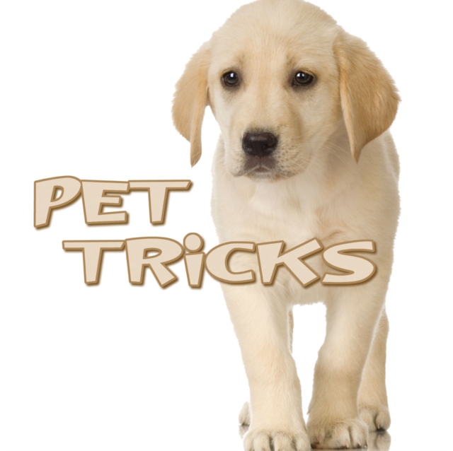 Pet Tricks, PDF eBook