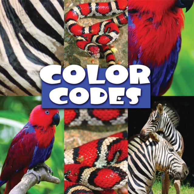 Color Codes, PDF eBook