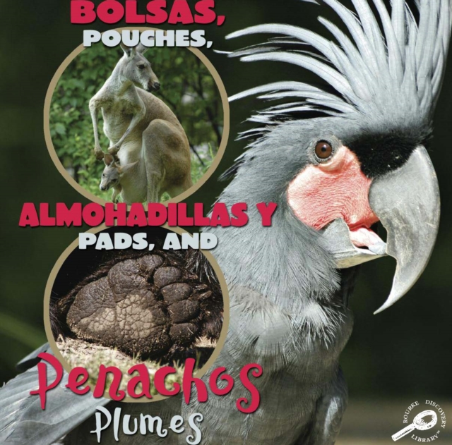 Bolsas, almohadillas y penachos : Pouches, Pads, and Plumes, PDF eBook