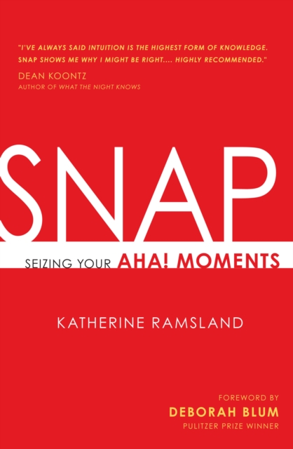 SNAP : Seizing Your Aha! Moments, EPUB eBook