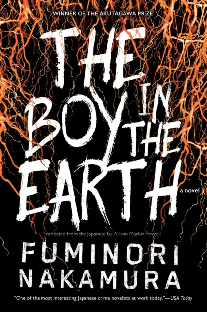 The Boy In The Earth, Paperback / softback Book