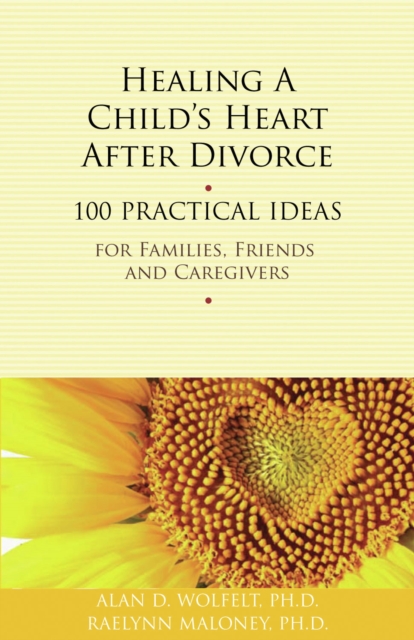 Healing a Child's Heart After Divorce : 100 Practical Ideas for Families, Friends and Caregivers, EPUB eBook