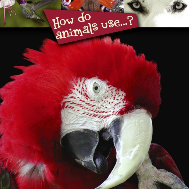 How Do Animals Use...?, PDF eBook