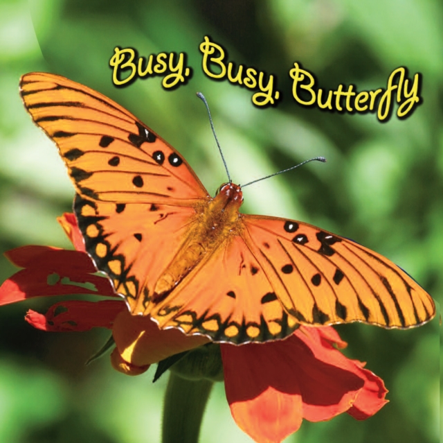 Busy, Busy Butterfly, PDF eBook