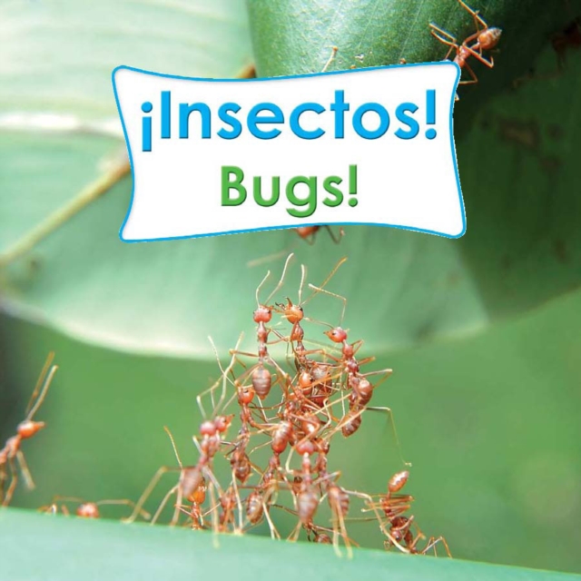 Insectos! : Bugs!, PDF eBook