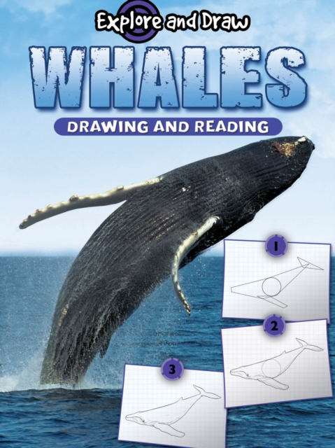 Whales, Drawing and Reading, PDF eBook