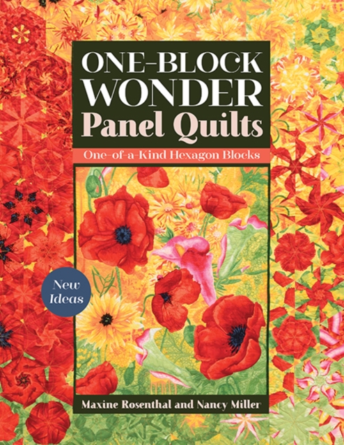 One-Block Wonder Panel Quilts : New Ideas; One-of-a-Kind Hexagon Blocks, Paperback / softback Book