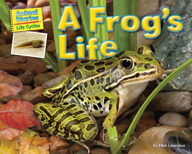A Frog's Life, PDF eBook