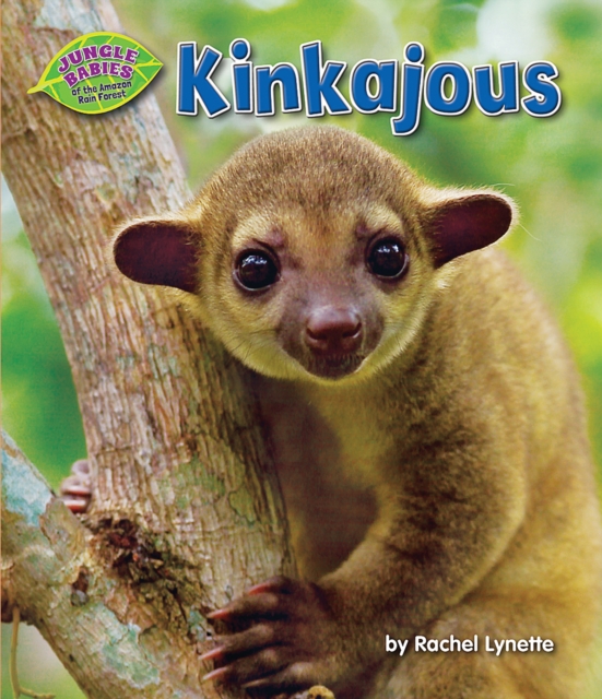 Kinkajous, PDF eBook