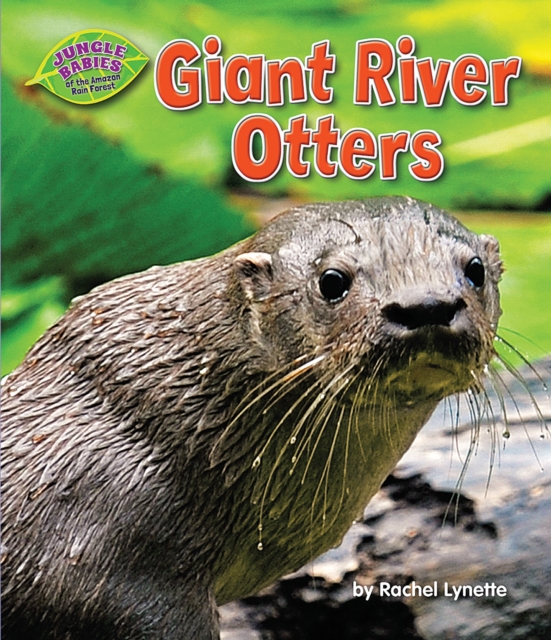 Giant River Otters, PDF eBook