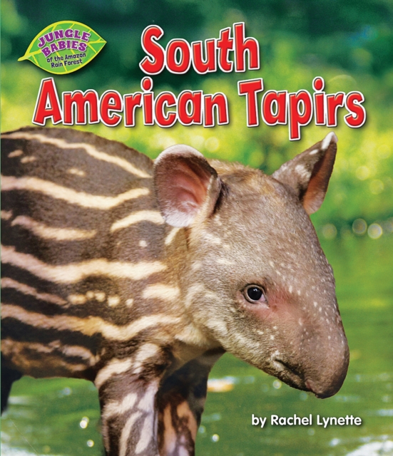 South American Tapirs, PDF eBook