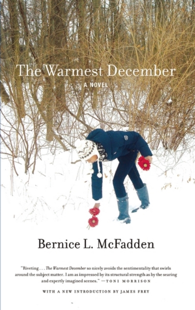 The Warmest December, EPUB eBook