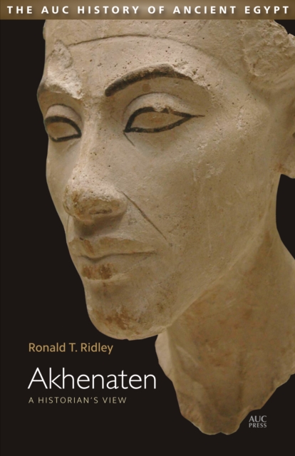 Akhenaten : A Historian's View, PDF eBook