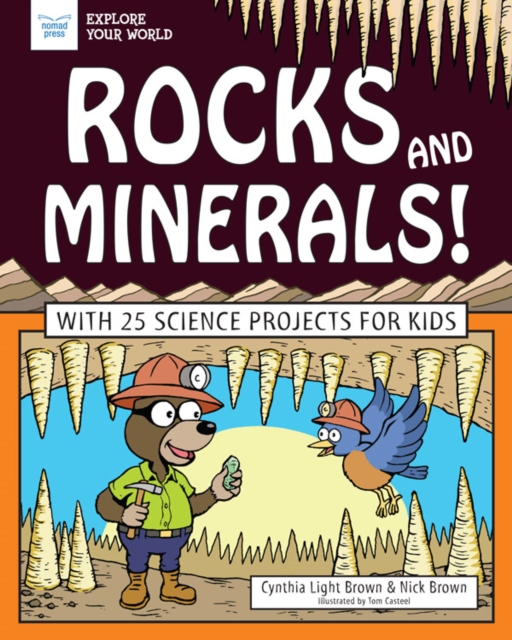 Rocks and Minerals!, PDF eBook