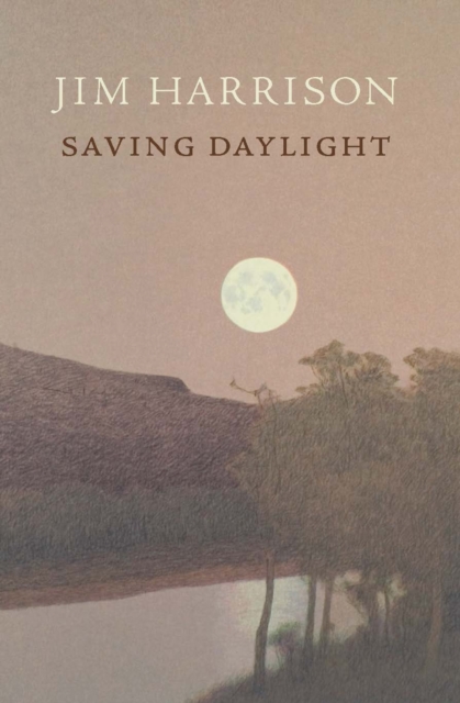 Saving Daylight, EPUB eBook
