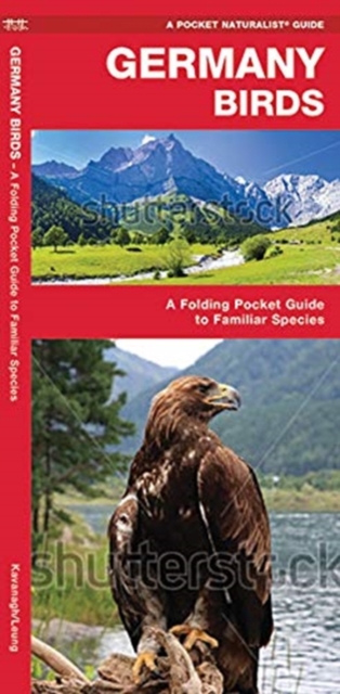 Germany Birds : A Folding Pocket Guide to Familiar Species, Pamphlet Book