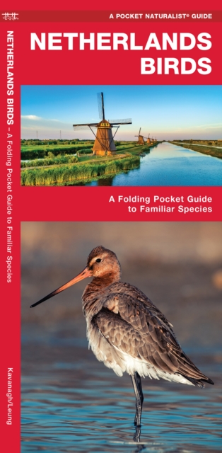 Netherlands Birds : A Folding Pocket Guide to Familiar Species, Pamphlet Book