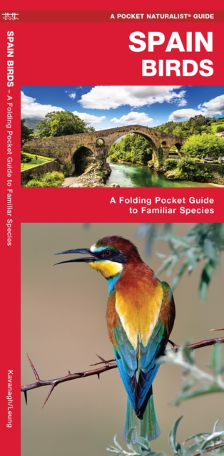 Spain Birds : A Folding Pocket Guide to Familiar Species, Pamphlet Book