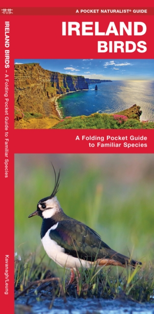 Ireland Birds : A Folding Pocket Guide to Familiar Species, Pamphlet Book